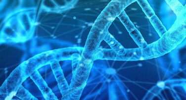 Future of Forensics Fund