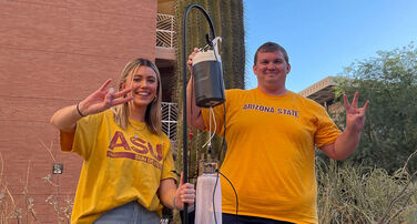 Mosquito and vector-borne disease research