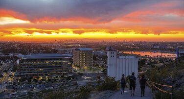 Jenessa Shapiro Undergraduate Research Scholarship