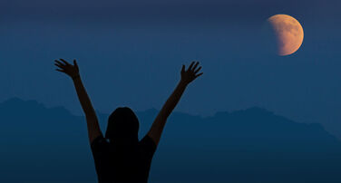 SRP Honors Scholarship