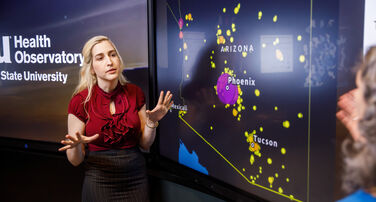 Health Observatory Support Fund