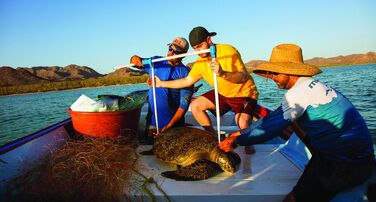 Saving Sea Turtles and Transforming the Future of Sustainable Fishing