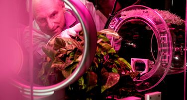 Center for Negative Carbon Emissions