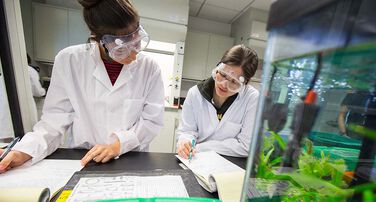 SOLS Grad Program