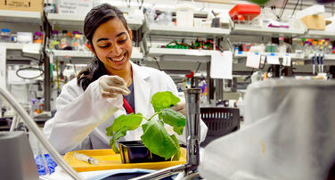 Phoenix Bioscience Core