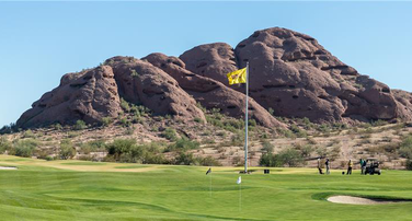 Joint Golf