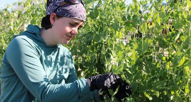 Kelly and Brian Swette Center for Sustainable Food Systems