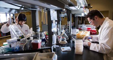 Center for Global Health General Fund