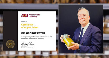 Professor George "Bob" Pettit Fellowship Endowment