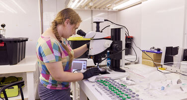 Bermuda Institute of Ocean Sciences Excellence Fund