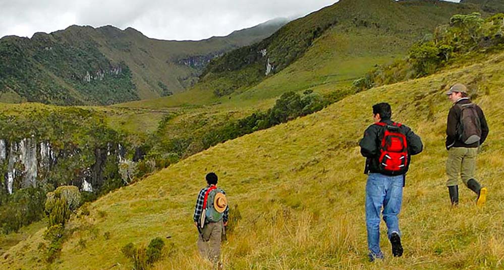 Center for Biodiversity Outcomes