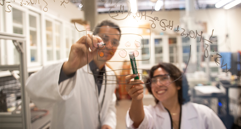 NXP Semiconductors Endowed Scholars Endowment