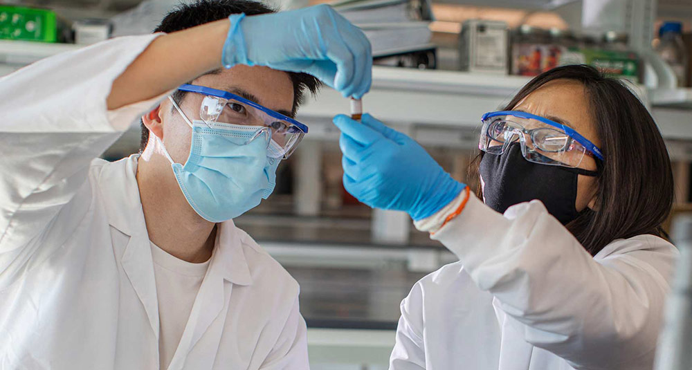 School of Technology for Public Health Investment Fund
