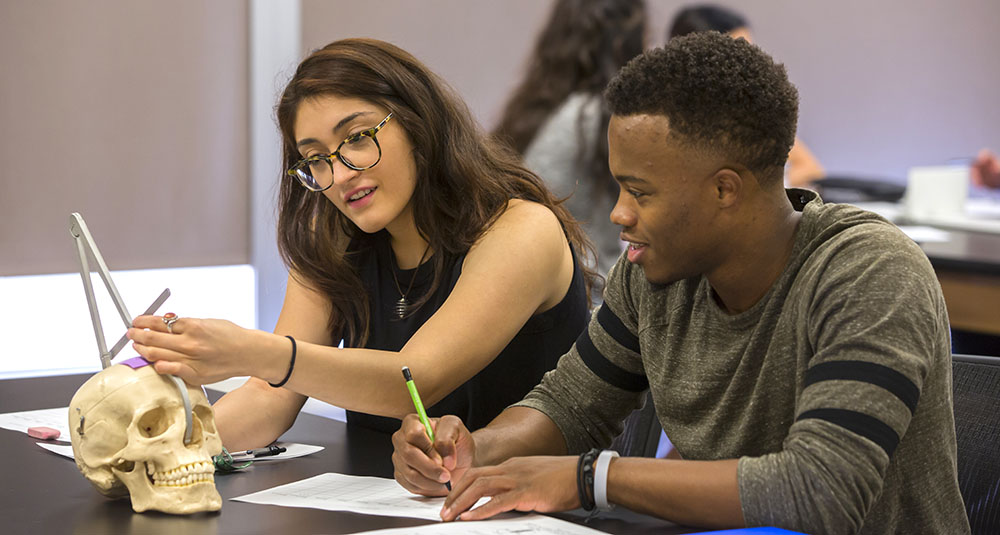 School of Human Evolution and Social Change Emergency Student Fund
