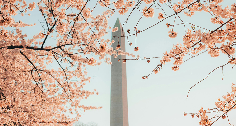 McCain Institute-American Democracy