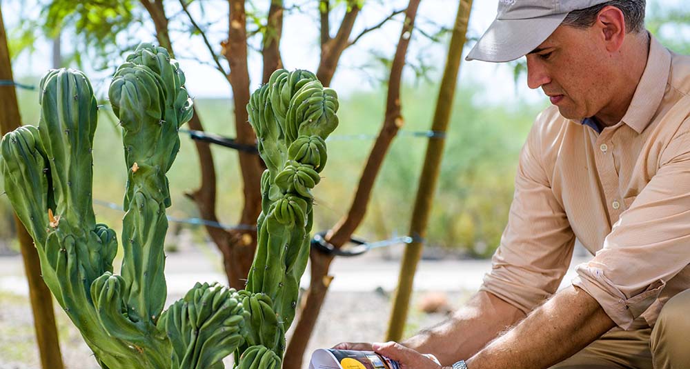Wickenburg Conservation Foundation Fund