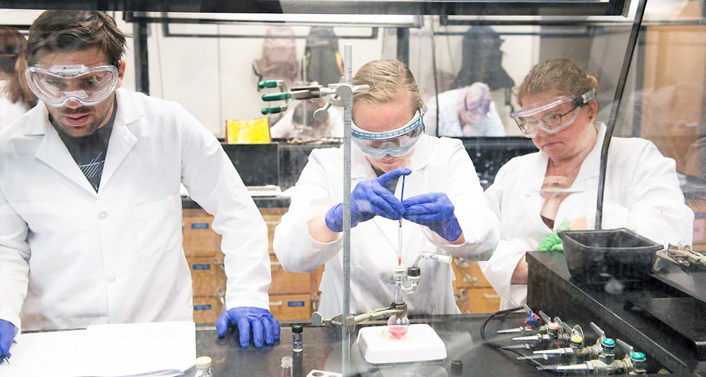 School of Molecular Sciences General Fund