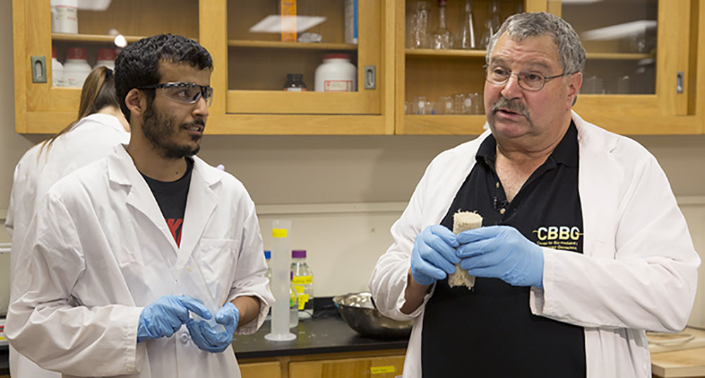 Center for Bio-Mediated and Bio-Inspired Geotechnics Projects and Events