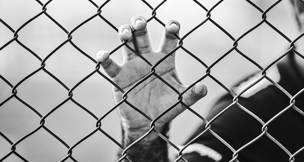 Freedom for Political Prisoners Initiative