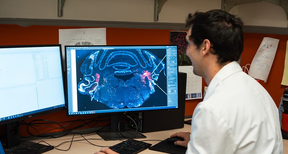 Verpeut Lab
