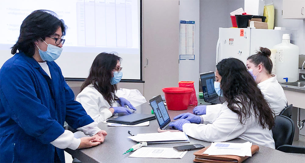 Online Undergraduate Research Scholars (OURS) Program