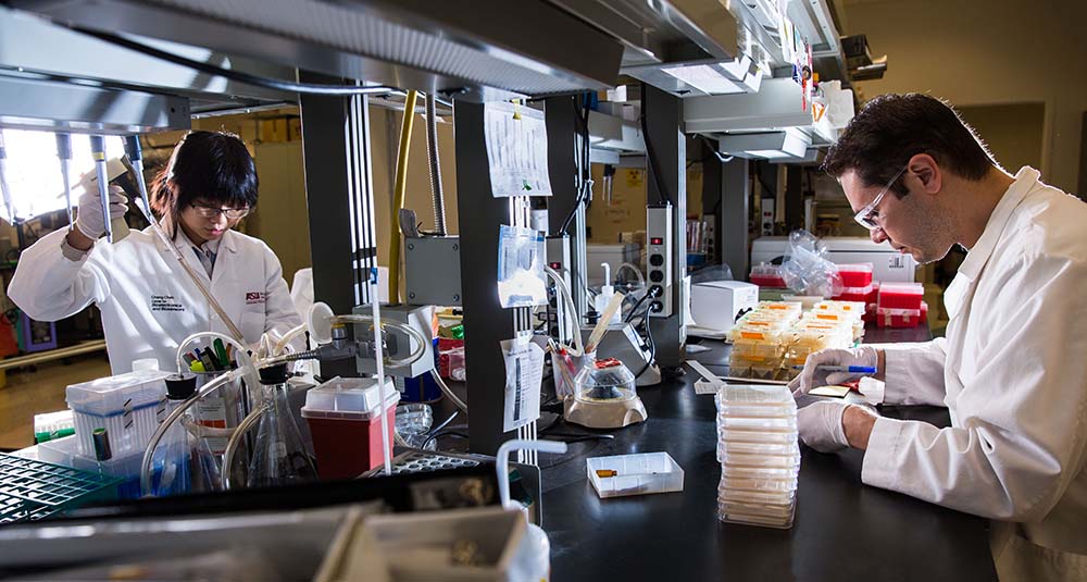 Center for Global Health General Fund