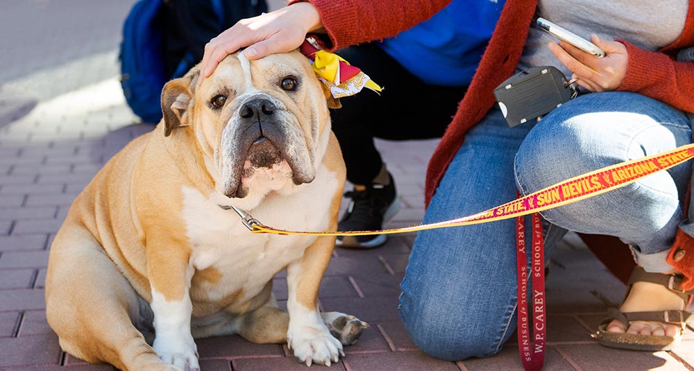 Cortney Rice Student Impact Fund