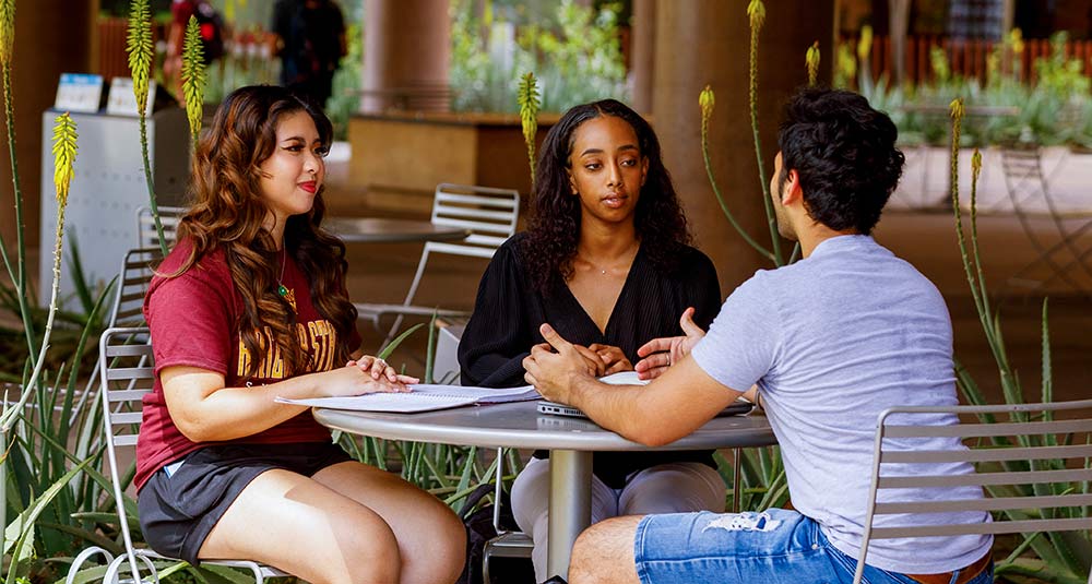 Shirley A. Lazo and Michael P. Niemira Scholarship