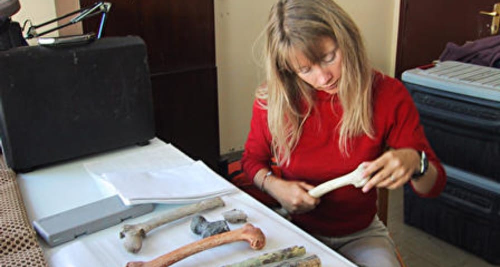 Elizabeth Harmon Research Endowment