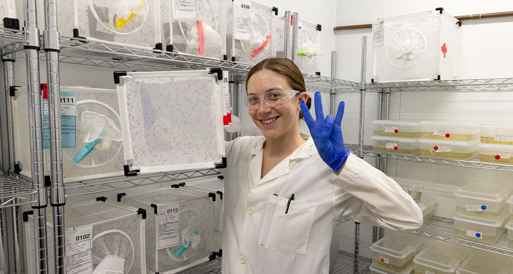 Mosquito and vector-borne disease research