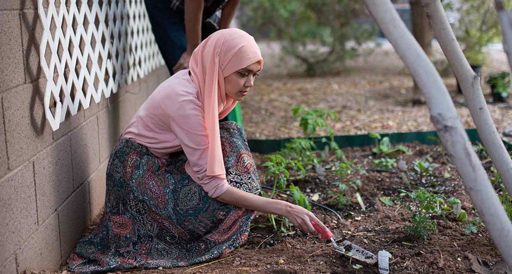 Earth Systems Science for the Anthropocene (ESSA) Graduate Scholars Network