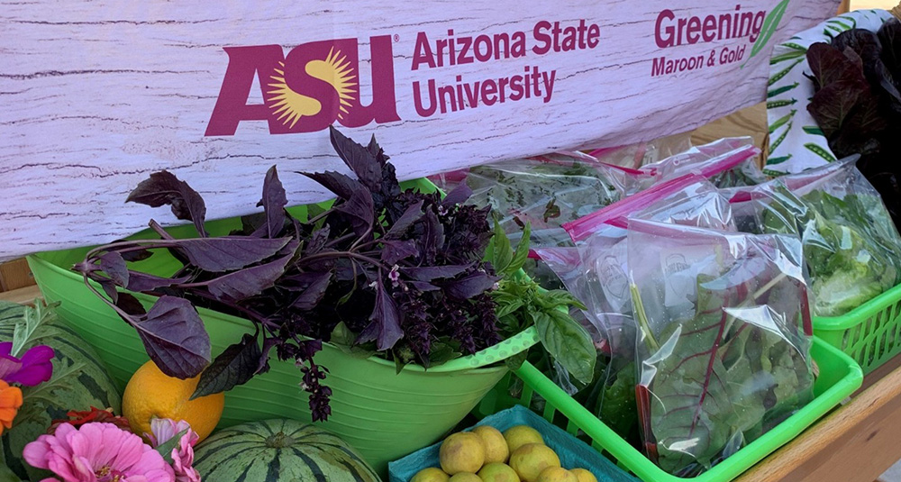 The Garden Commons at ASU