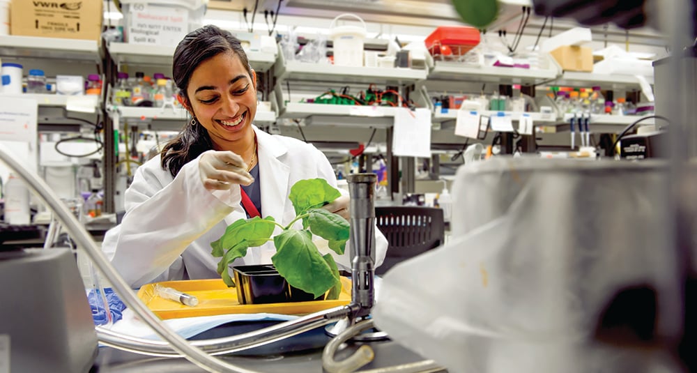 School of Life Sciences