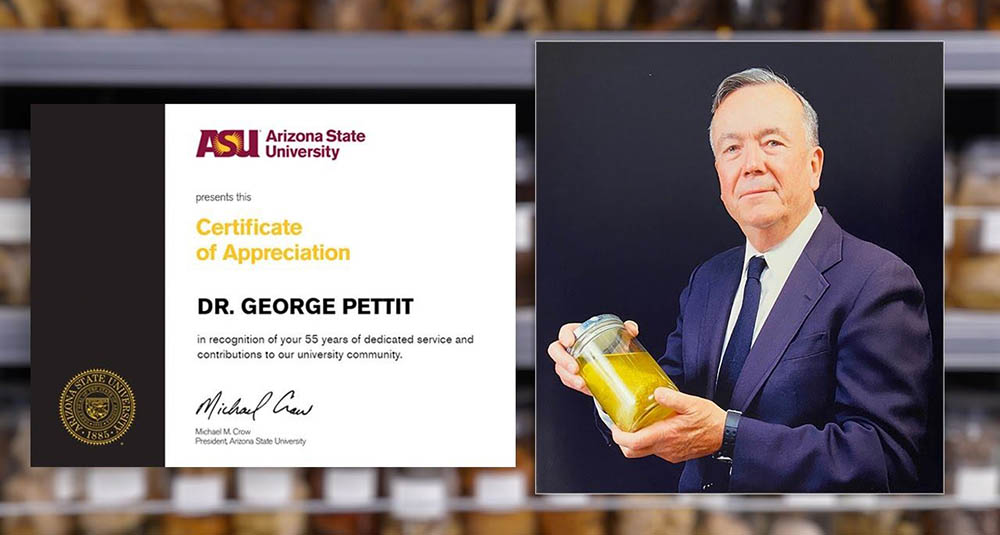 Professor George "Bob" Pettit Fellowship Endowment