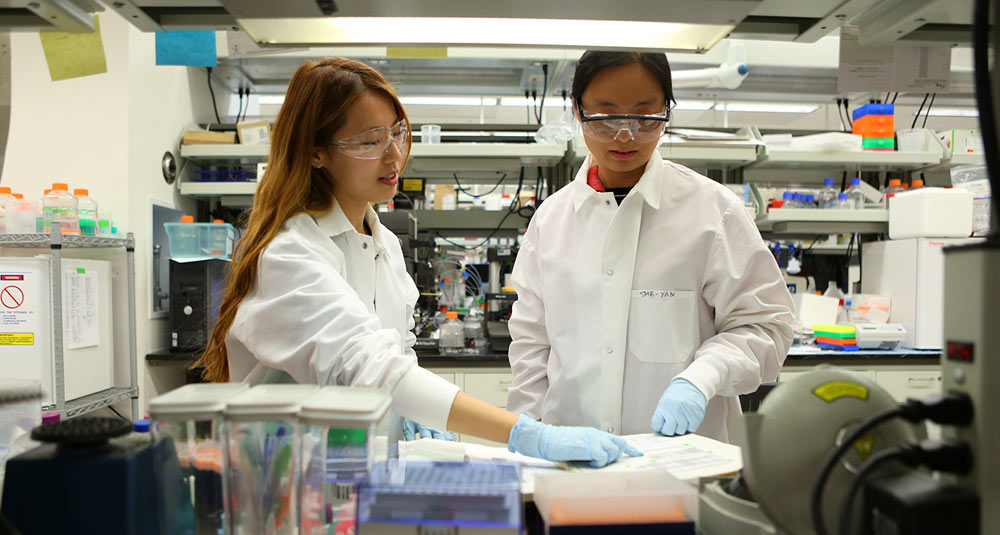 Professor Yan Liu Memorial Fund