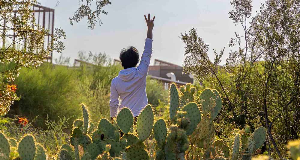 The Tetreault Family Scholarship in Sustainability