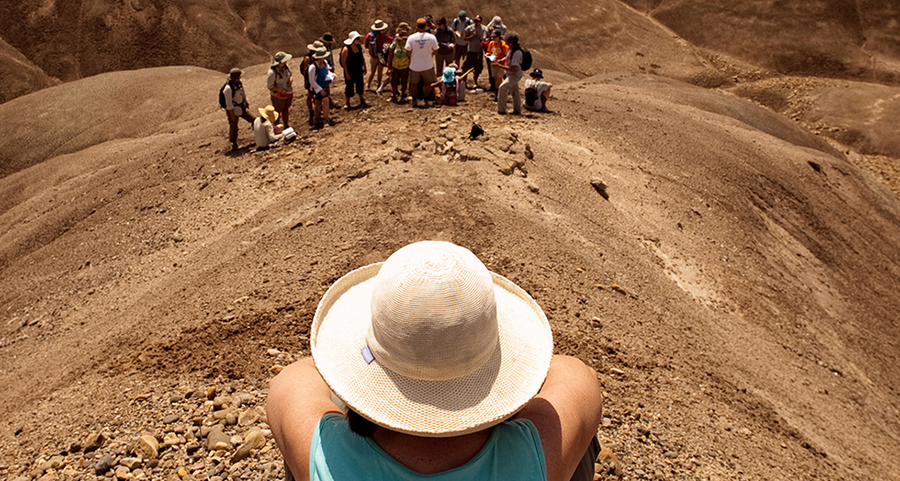 Kaye Reed Institute of Human Origins Scholarship