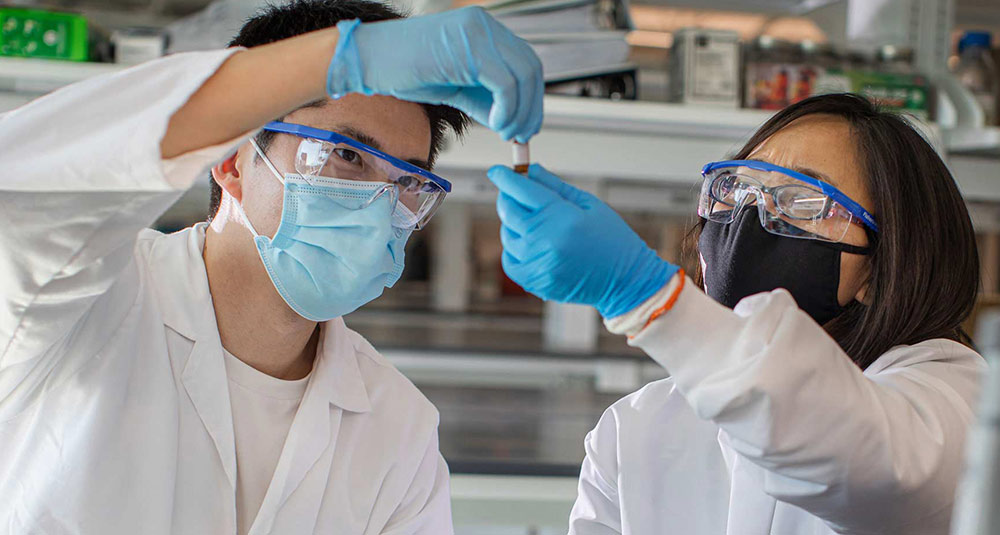 Molecular and cellular biology Graduate Program