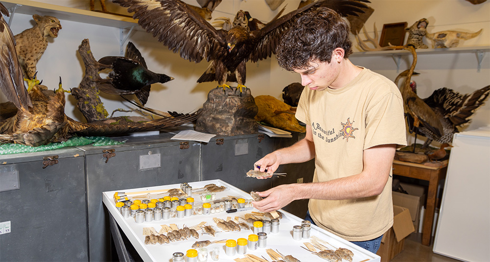 ASU Biocollections